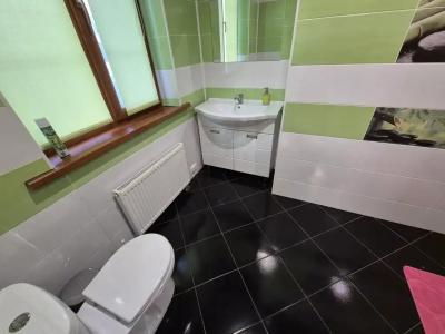 Алтайский Кедр - 31