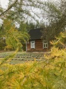 Уютный лесной домик со всеми удобствами в Полянках - 19