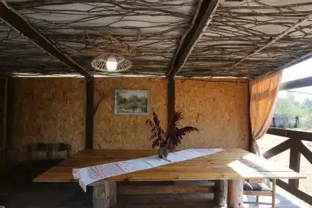 Пралеска - 14