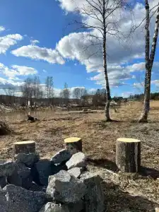 Saari Village - 34
