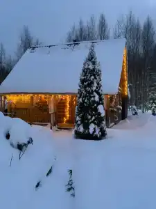 Домик в лесу с баней в Есинке - 13