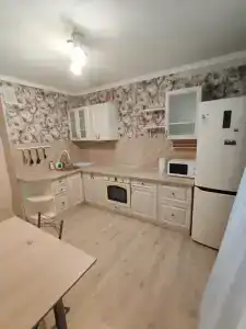 Квартиры на 65 лет Победы 13 - 52