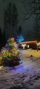Пихта с баней - 11