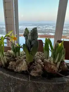 Обсерватория barnnnov - 74