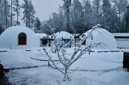 Хэйлун - 355