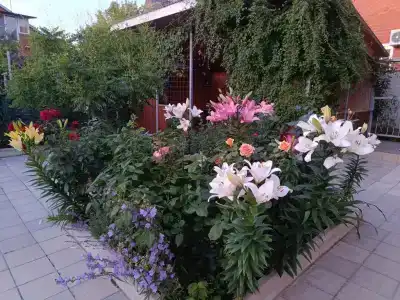 Отдых у моря - 40