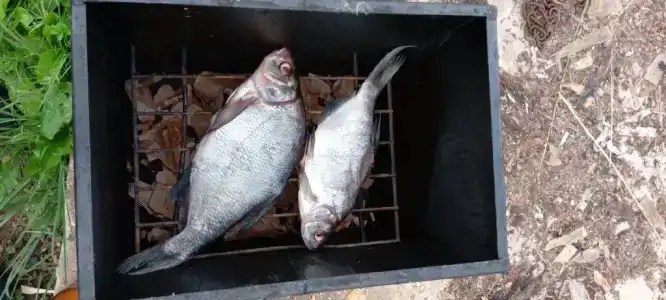 Полдома с террасой и видом на сад - 21