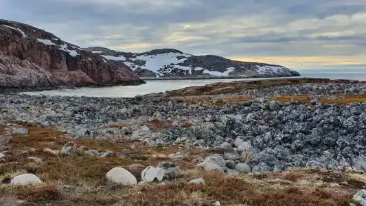 Квартиры на Школьной 10 - 39