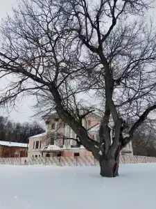 Сказка - 29