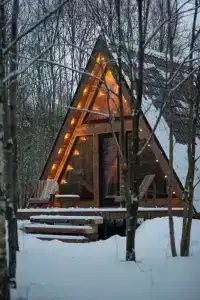 Глэмпинг Ёлкино За Палкино - 99