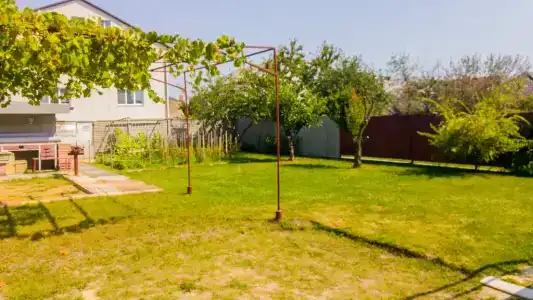 Владимир - 53