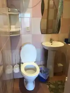 Кипарис - 146