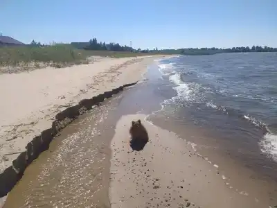 Дом с видом на Чудское озеро - 14
