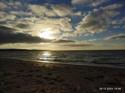 Ракушка Казантипа - 11