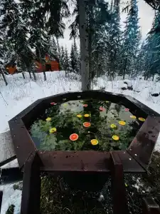 Кедровый дом в лесу с панорамным видом на горы - 16