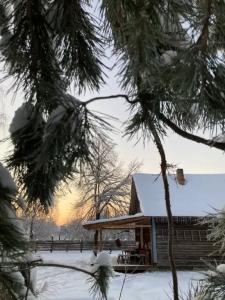 Уютный лесной домик со всеми удобствами в Полянках - 13