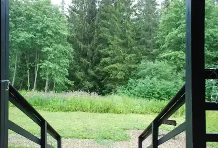 Хвойный Лес - 130