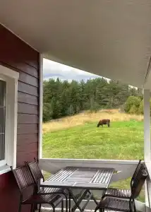 Панорамный двуспальный дом в Карелии рядом с Ладогой - 18