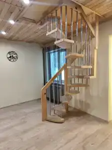 В гостях у леса - 40