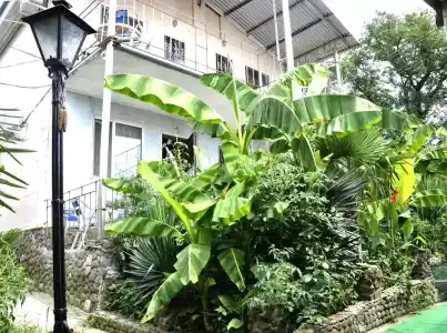 Зеленый Дворик