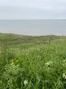 Домик у моря - 27