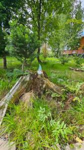 Атмосфера - 142