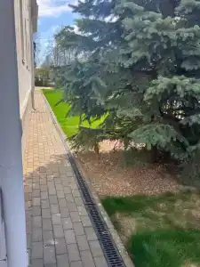 Панда - 80