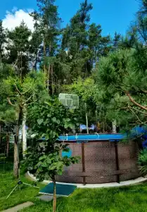 Brest Dream Gaden - 24