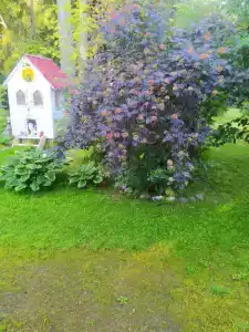 Домик для отдыха - 15