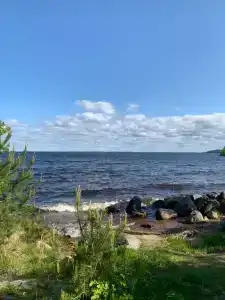 Коди Ярви - 134