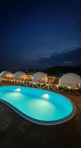 Аквариум - 153