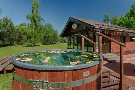 Дом Zarechye с русской баней и горячей купелью - 58