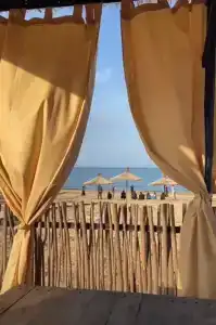 Золотые пески - 36