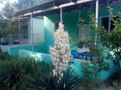 Дом на Пляжной 12 - 1