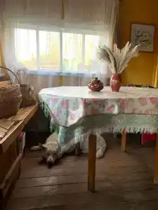 Частный дом для туристов - 14