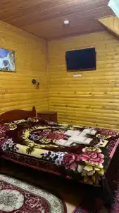 Золотой мустанг - 23