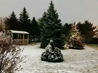 Дом с прекрасным видом - 40