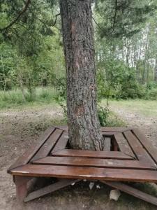 Дом фортуна на водохранилище - 12