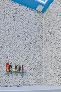 Ленивый Дельфин - 105