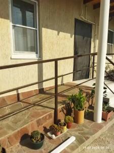 Ракушка Казантипа - 56