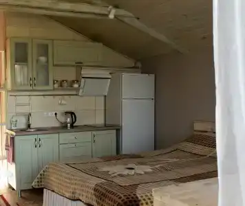 Боровики - 4