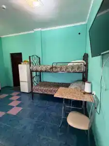 Тульский - 30