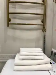 Люкс-апартаменты в Коломенском Кремле - 12