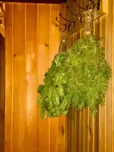 Шартруз Красное - сад, веранда и баня - 78