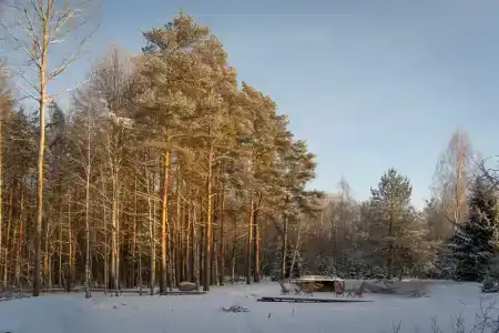 Домик на хуторе Кууса - 14