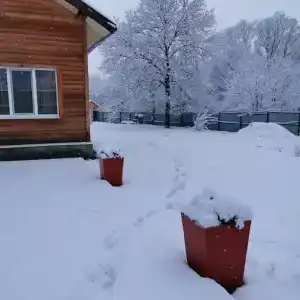 Ореховая роща - 63