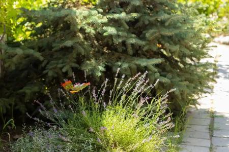 Дом на Пляжной 12 - 66