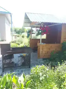 Прана - 46