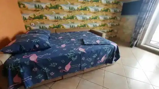 Эдельвейс - 0