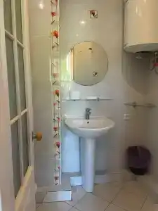 Кипарис - 182